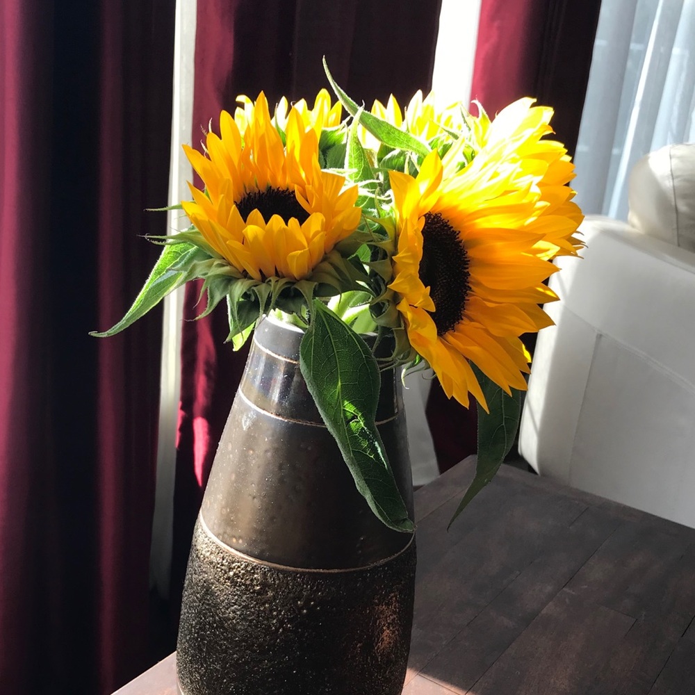 Meet your Posher, Burte